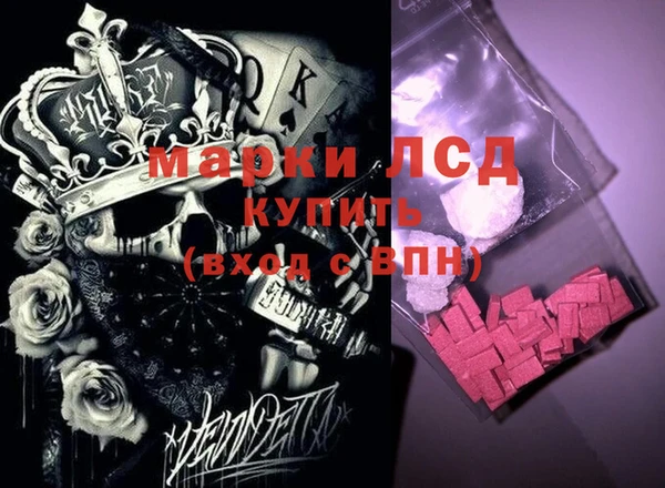 PSILOCYBIN Галич