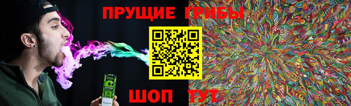 Псилоцибиновые грибы Psilocybe Саяногорск